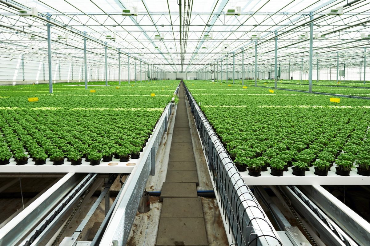 efw-scaled